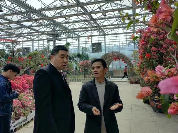 風(fēng)口散流器系列在通風(fēng)系統(tǒng)中的創(chuàng)新技術(shù)應(yīng)用