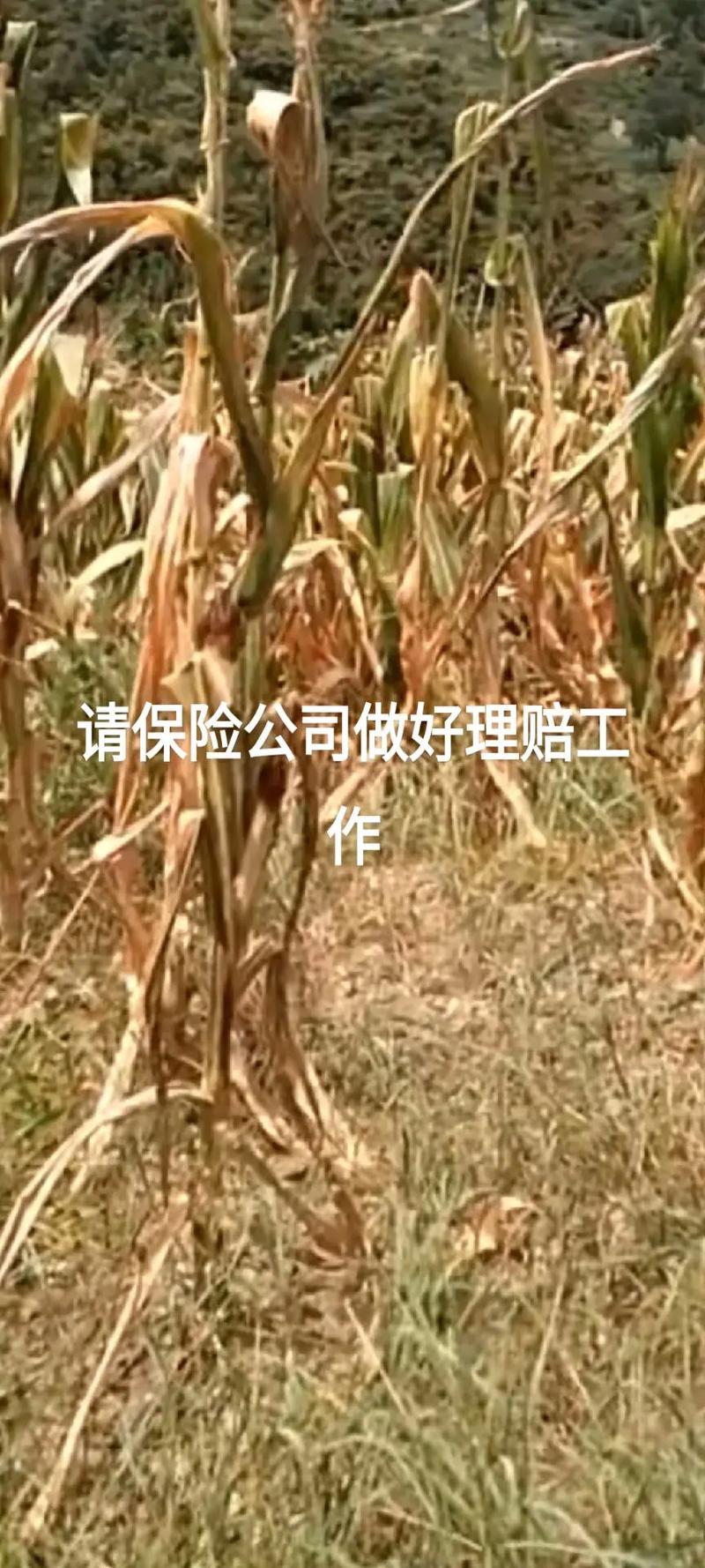 表冷器和蒸發(fā)器性能對空調(diào)制冷效果的直接影響