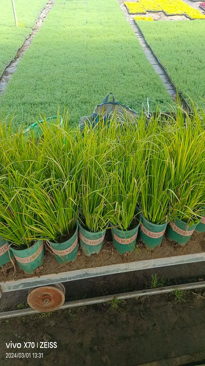 家居辦公全能空調(diào)柜式空調(diào)器系列滿足溫度調(diào)節(jié)需求