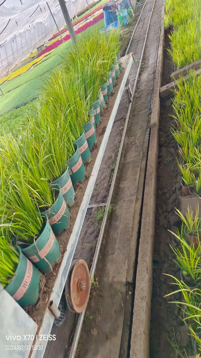 蒸發(fā)器表冷器在工業(yè)制冷中的設(shè)計(jì)與優(yōu)化技術(shù)探討