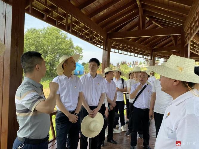 風(fēng)機系列設(shè)計理念優(yōu)化行業(yè)生產(chǎn)效率與成本管理